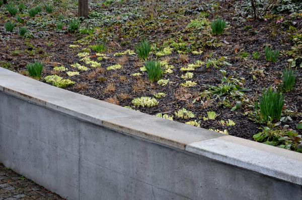 Concrete Wall Construction in Summerville