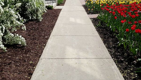 Cement Sidewalk Installation in Summerville
