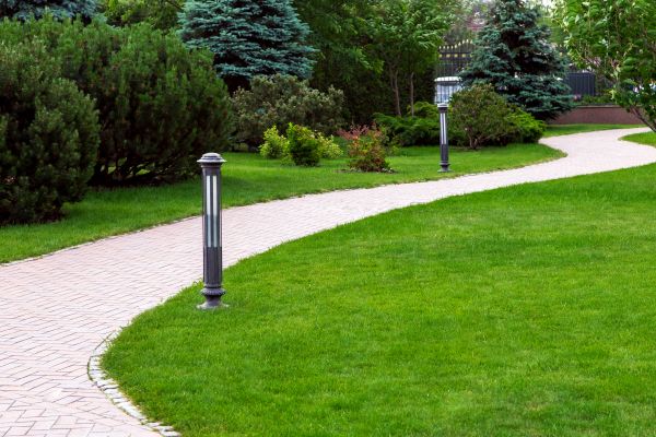 Backyard Sidewalk Installation in Summerville